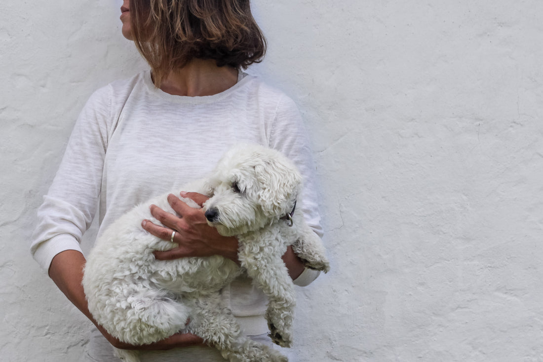 All you need is love and a dog—and maybe a therapist