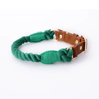 Boston Dog Collars