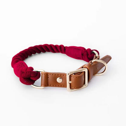 Boston Dog Collars