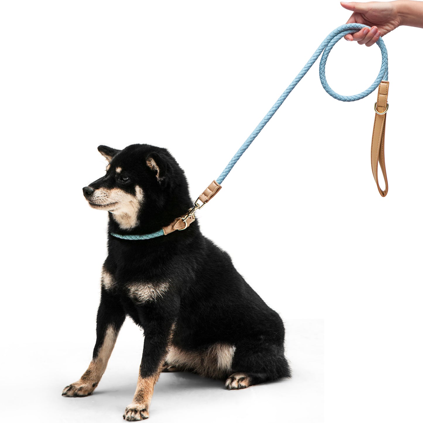 The Maxima Dog Leash - The Smug Dog