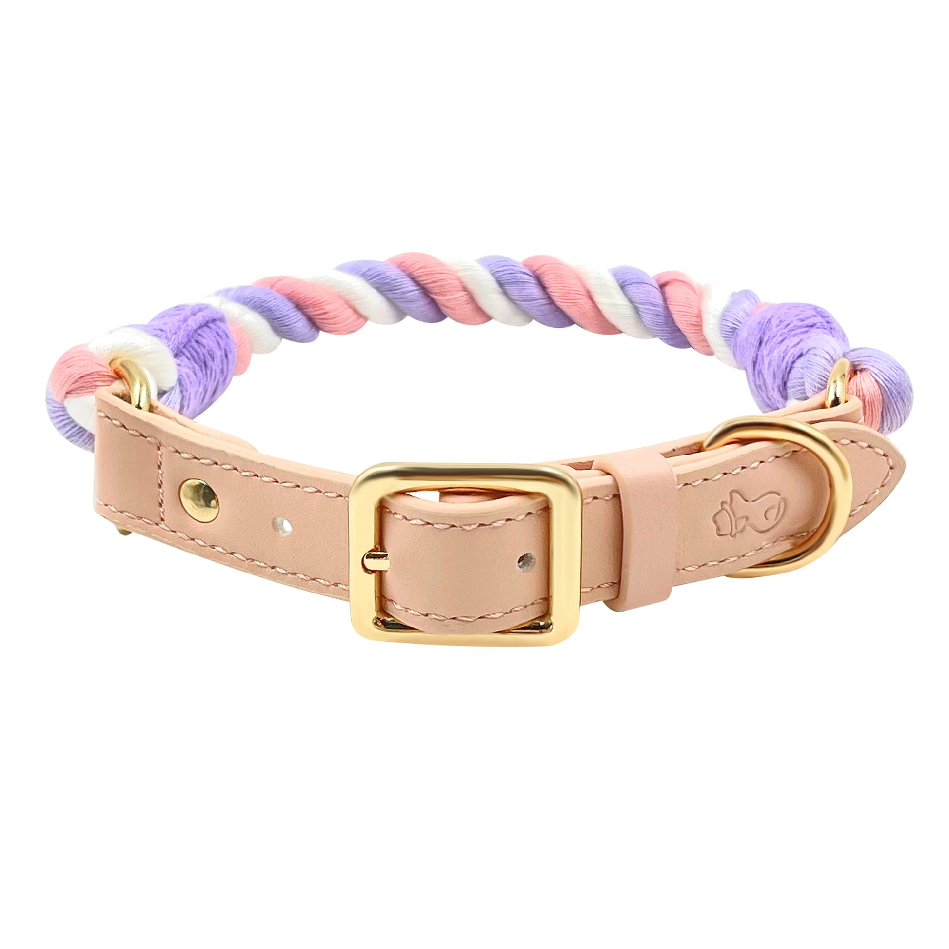 Starburst Dog Collars - The Smug Dog