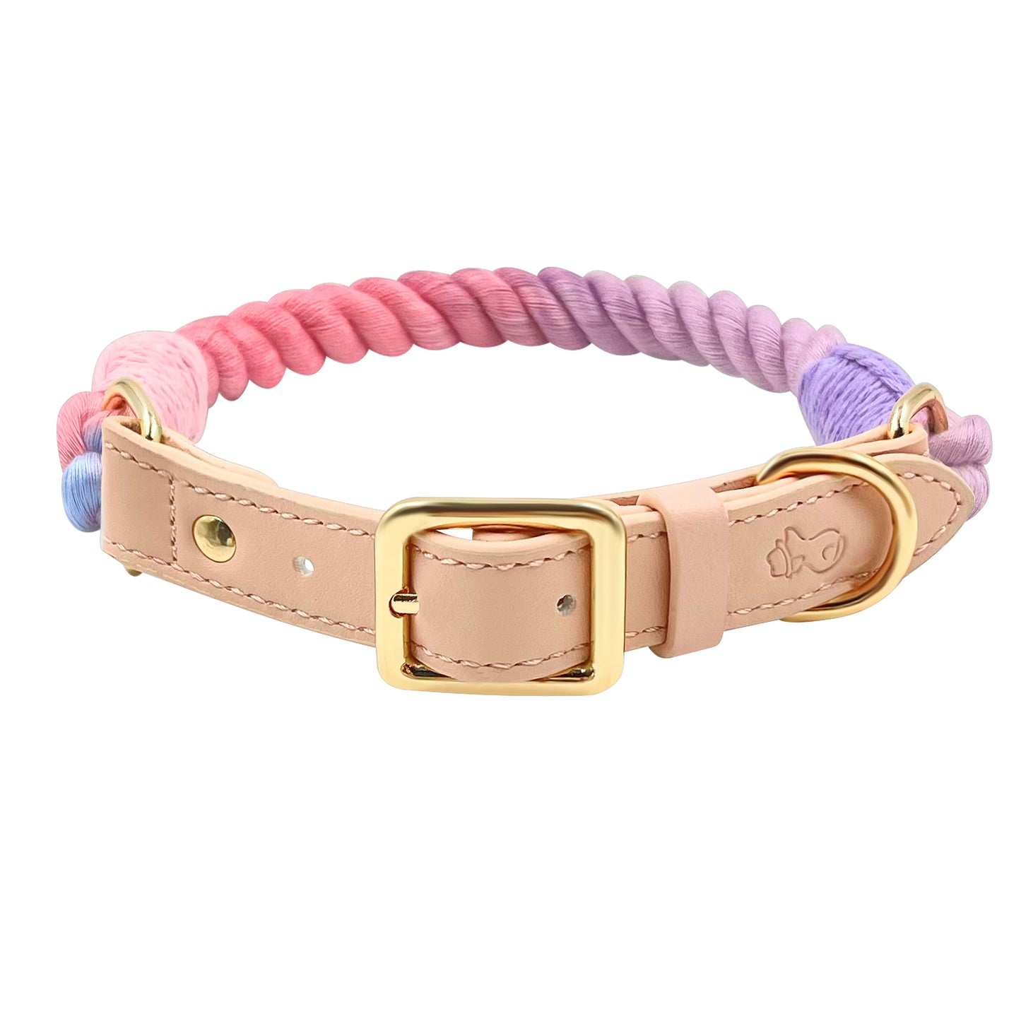 Starburst Dog Collars - The Smug Dog