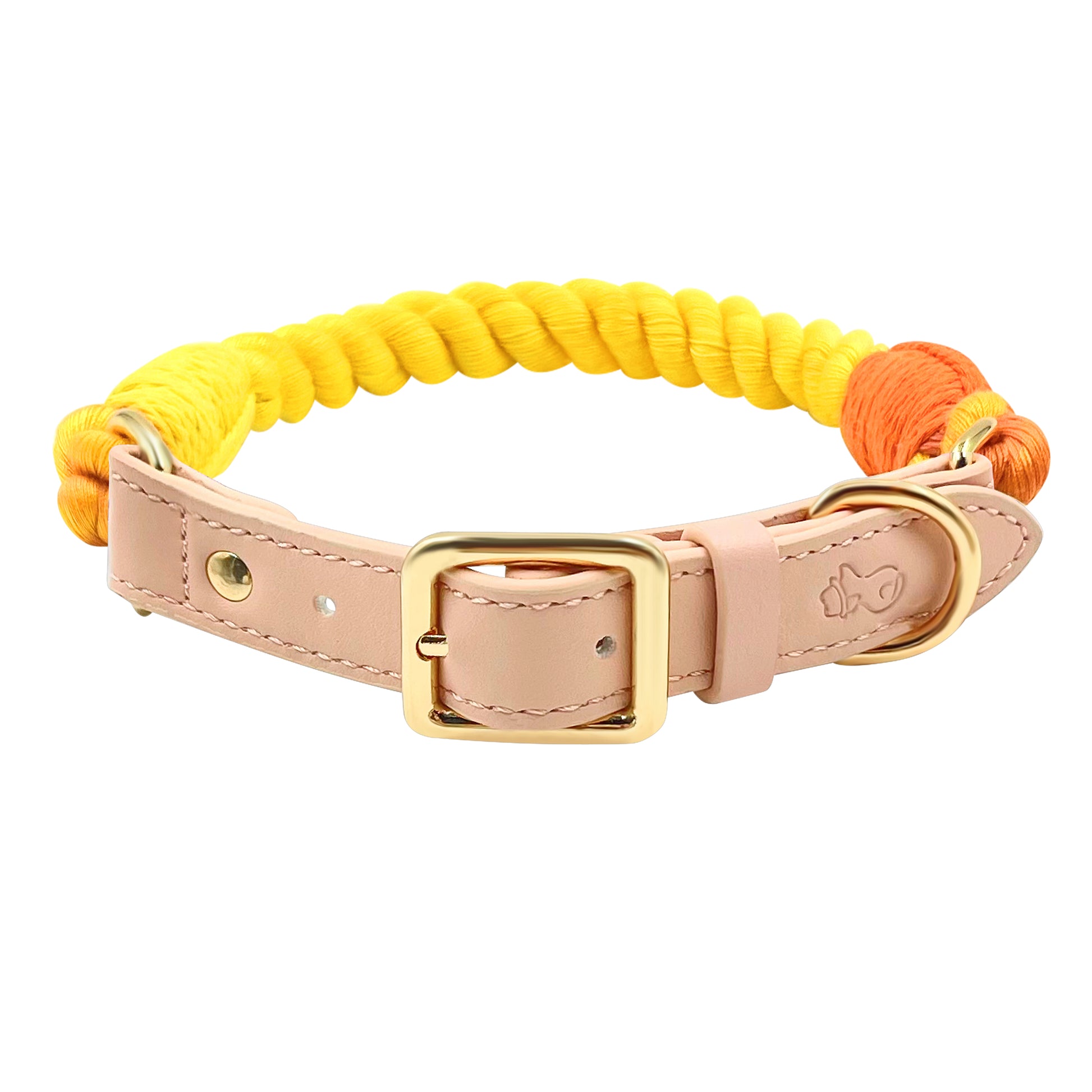 Starburst Dog Collars - The Smug Dog