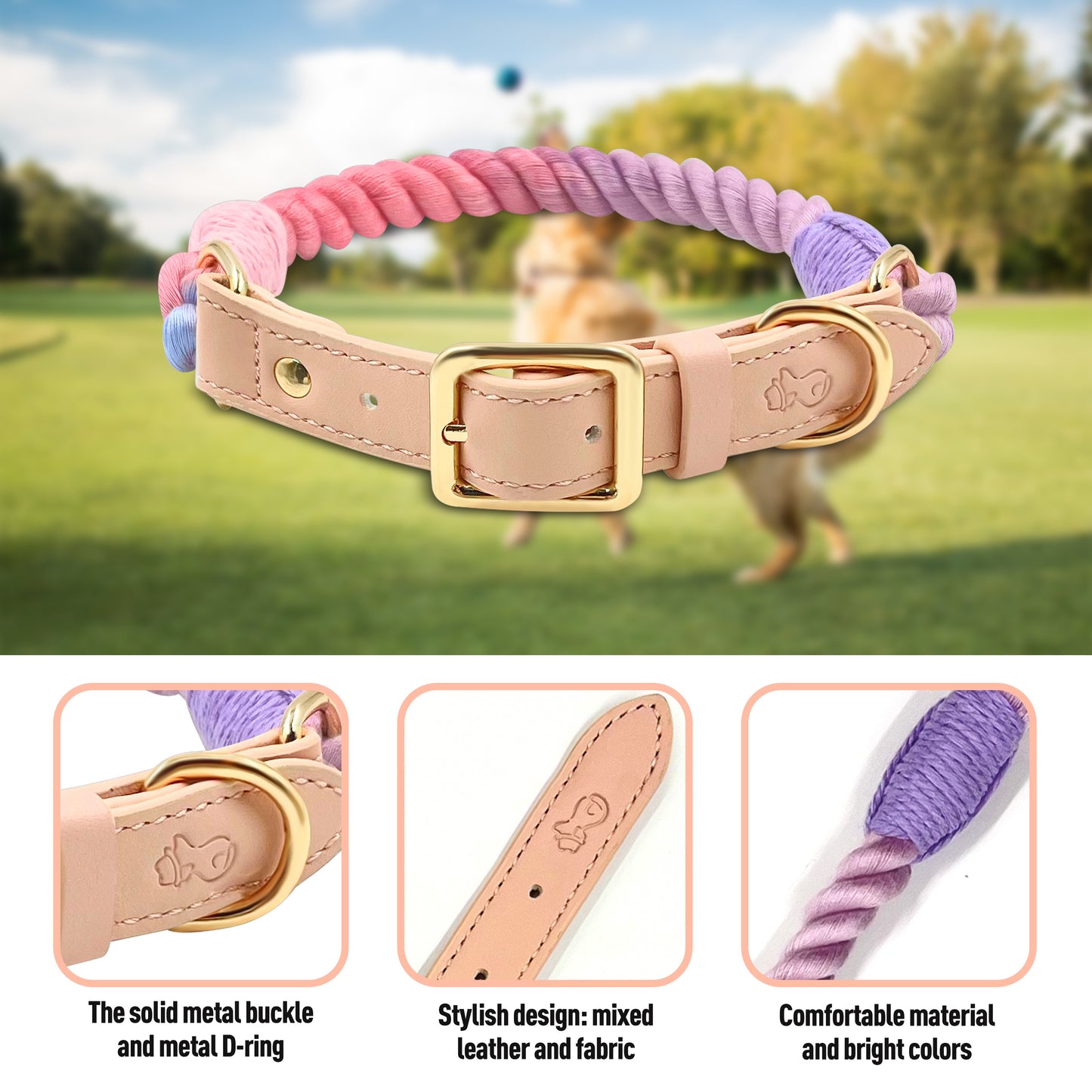 Starburst Dog Collars - The Smug Dog