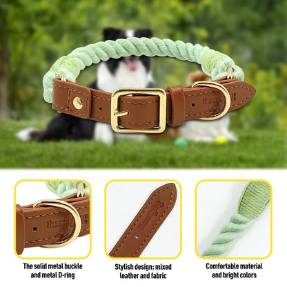 Boston Dog Collars - The Smug Dog